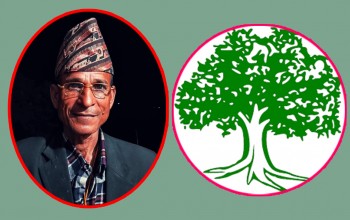 कांग्रेसले दोगडाकेदारमा खोल्यो खाता, वडा नं ८ मा बिष्ट प्यानल सहित विजयी 